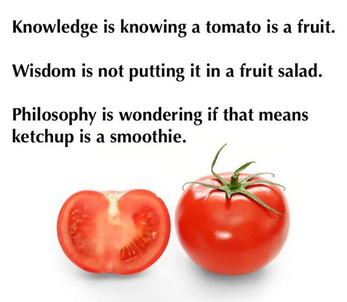 is tomato a fruit best fruits is tomato a fruit best fruits