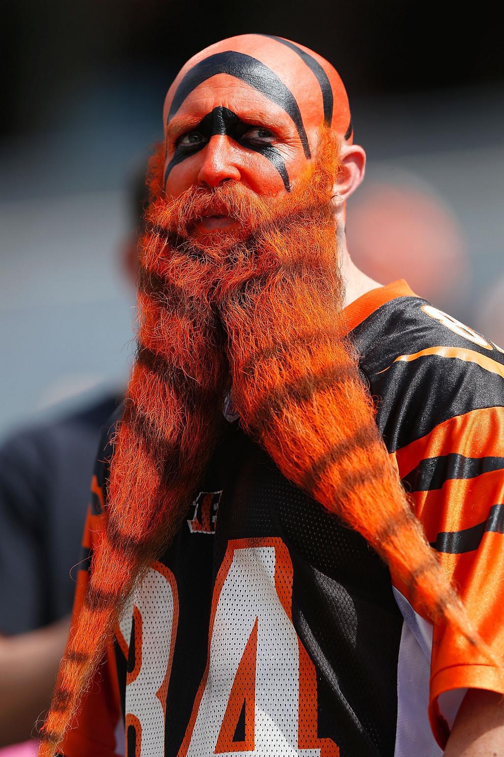 This fan loves the Bengals more than anyone should love anything.