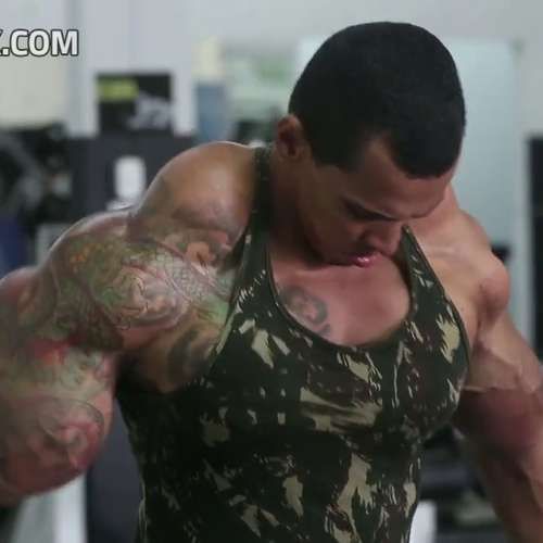 synthol on LockerDome