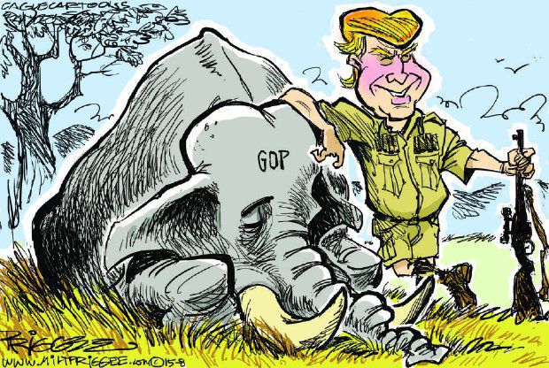 37f246bc23e423551c2f5e5ee6fe44e3238bd9ea19ac51cf874f443afe1cf4b4_large