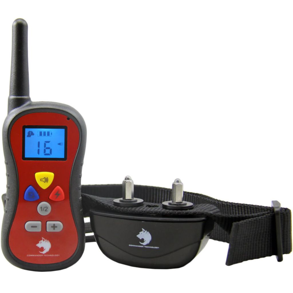 Doged Technology's Hangs LockerDome