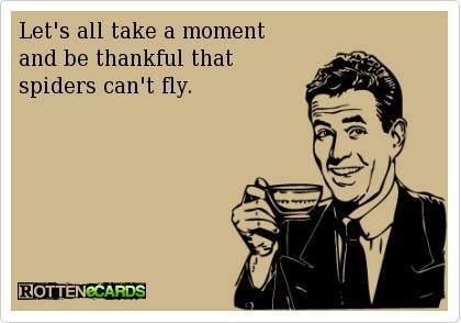 lets be thankful spider ecard funny dirty adult jokes, memes 533ceaafc9b5f9288acda17dcdf9dada19c487a7e44bd8abe7a2928d3cc0a3b1_large lets be thankful spider ecard funny dirty adult jokes, memes