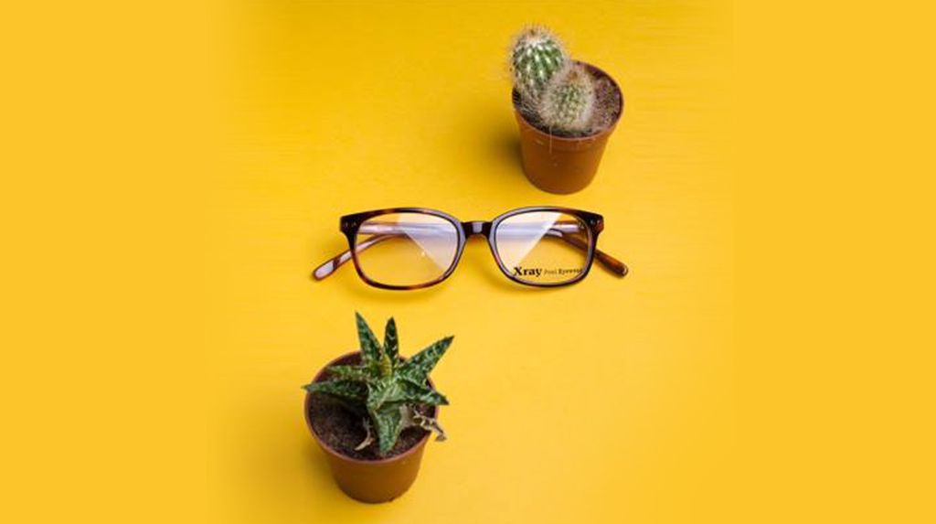 How many pairs of glasses do you own?