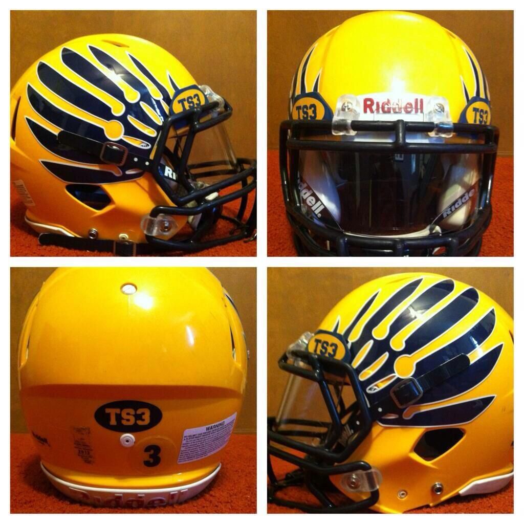 Hudsonville High School (MI) new football helmets.