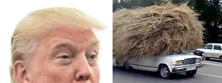 15 Things That Look Like Donald Trump's Stupid Face