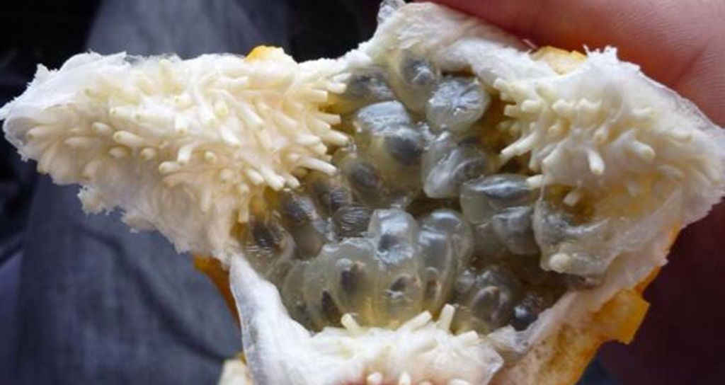 3 'Death Foods' That You Should Avoid