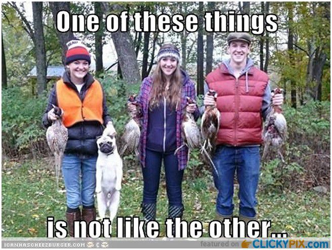 7d16d5a8c32a1accc99dcd15910171d902662e2c1488c139da91e068028360df_large