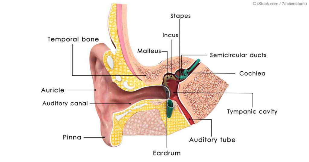 vibrate on LockerDome