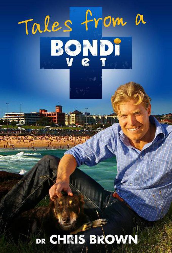 bondi 8 reddit