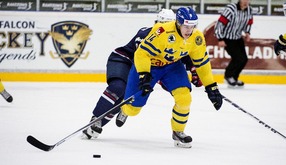 swehockey-se-s-hangs-lockerdome