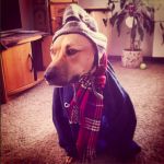 Subzero Temperatures