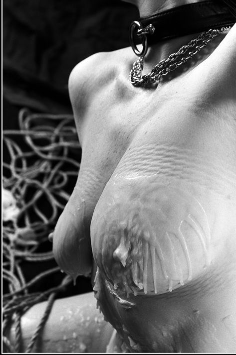 ���� ���� ���� �� ����� ��������� ��������