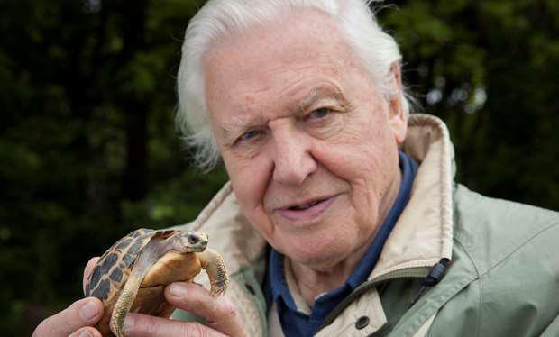 David Attenborough's Planet Earth 2 to devote whole 