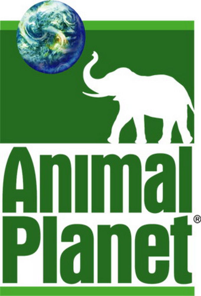 Watch Animal Documentaries