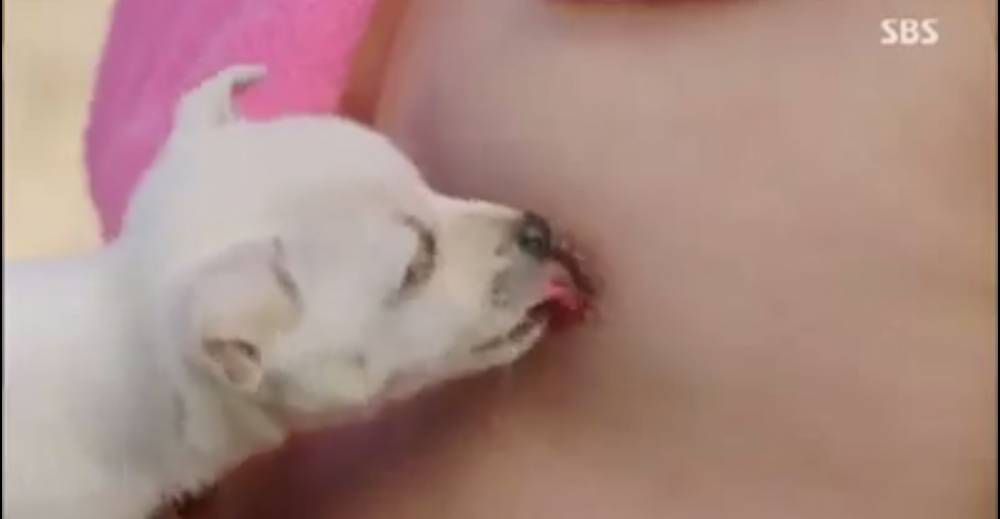 nipple licking nipple licking