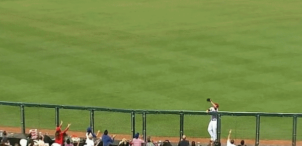 b3ab5e8cf5dc8b53f3bce1459df8f94d04e375ceea8d1dbe100b52c5464133c0_large