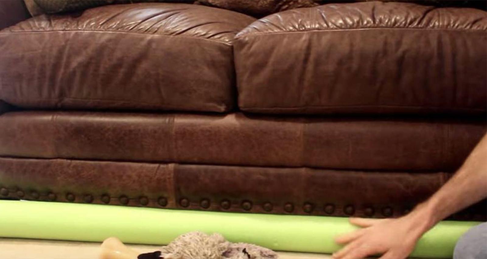 Everyone Should Know About These Pool Noodle Tricks