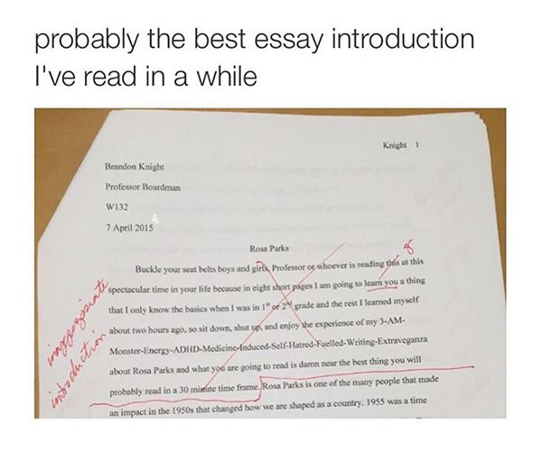 Best application essay ever