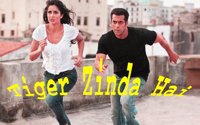 full movie download free tiger zinda hai