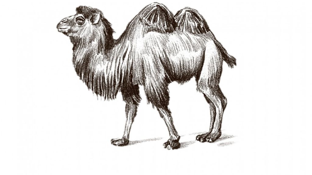 michael eidson camelbak